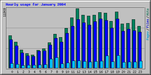 Hourly usage for January 2004